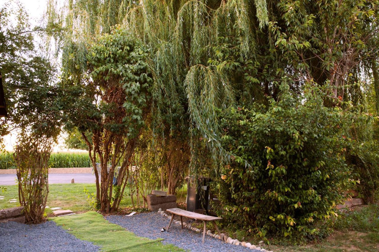 فيلا Domaine Des 4Roses -Spa Et Serenite Furdenheim المظهر الخارجي الصورة